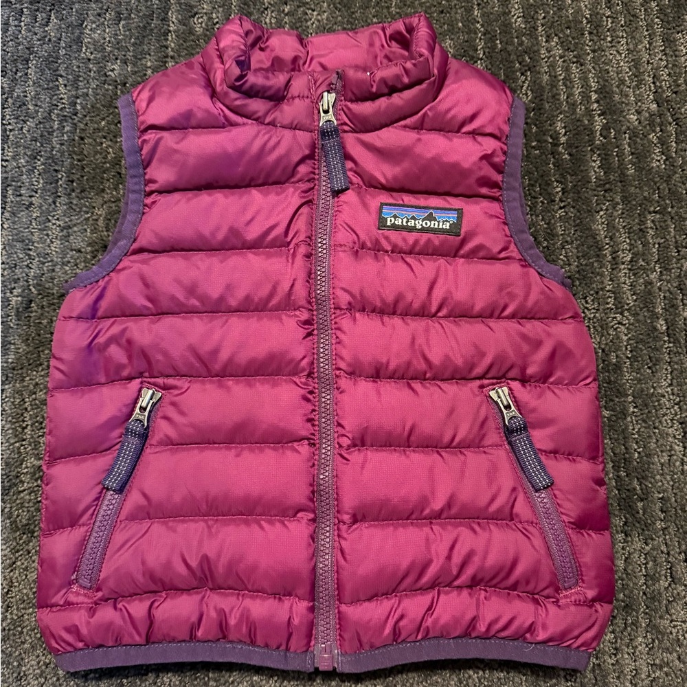 Patagonia Purple Down Best